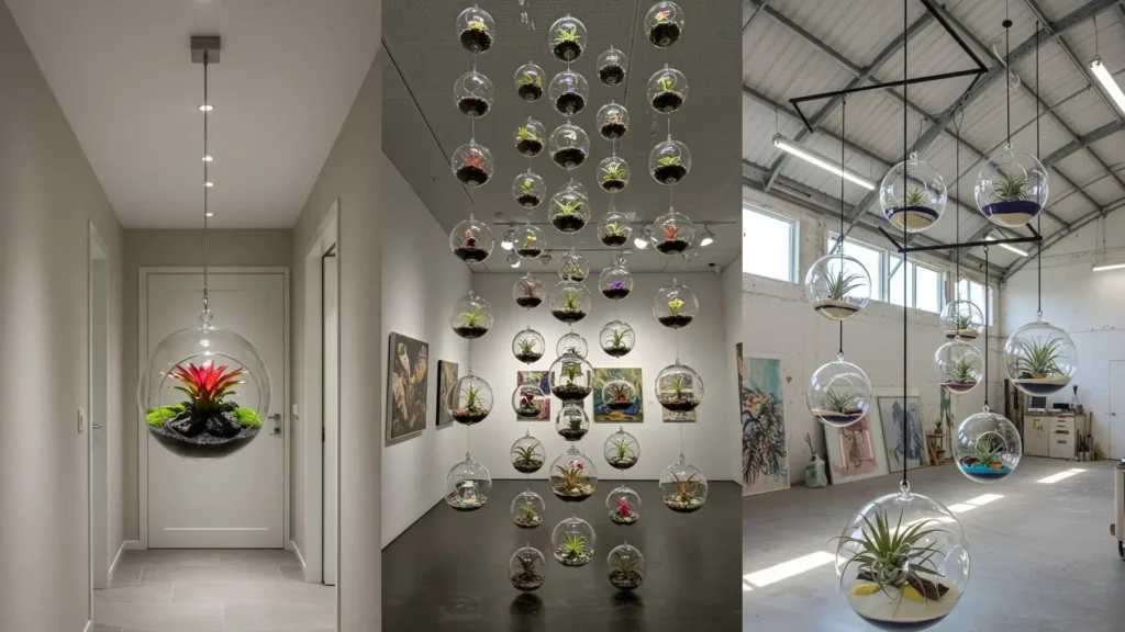 Terrariums déco suspendus en sphères de verre avec mini plantes exotiques, parfaits pour un intérieur moderne.