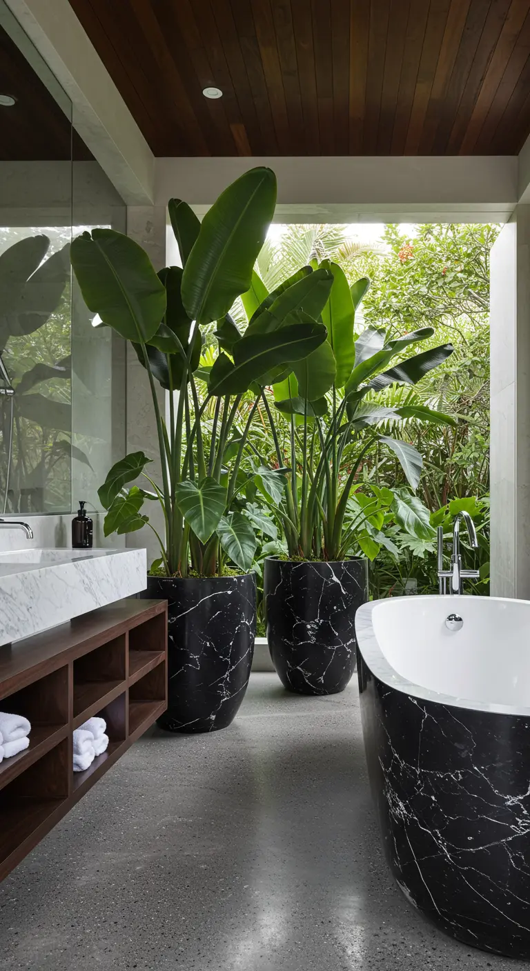 Grands bananiers dans des pots en marbre noir dans une salle de bain moderne.