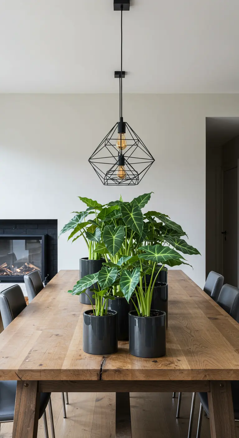 Plantes à grandes feuilles vertes dans des pots cylindriques gris foncé sur une table en bois.
